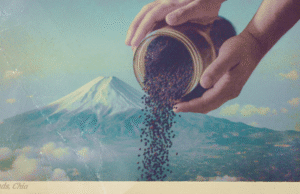 Seeds, Please: Why Snacking on Bird Food Might Be the Smartest Thing You Do All Week